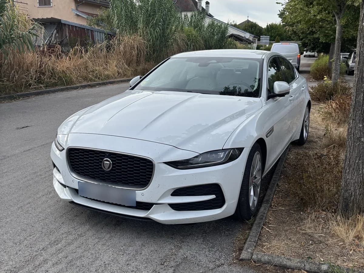 XE 2019