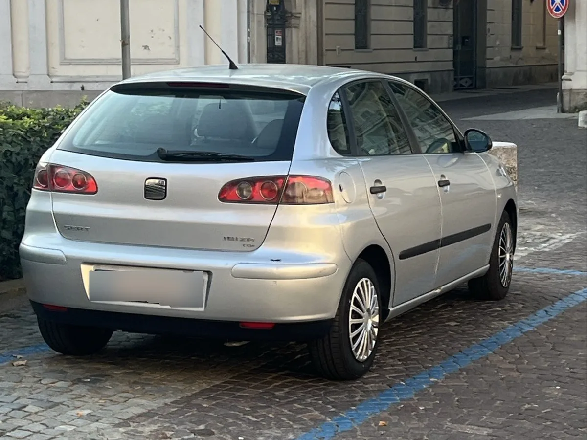 Ibiza Hatch 2002