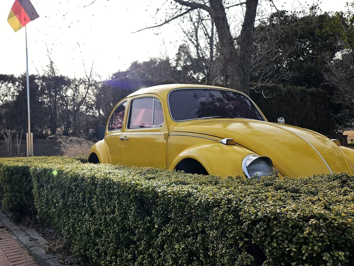 Volkswagen Beetle