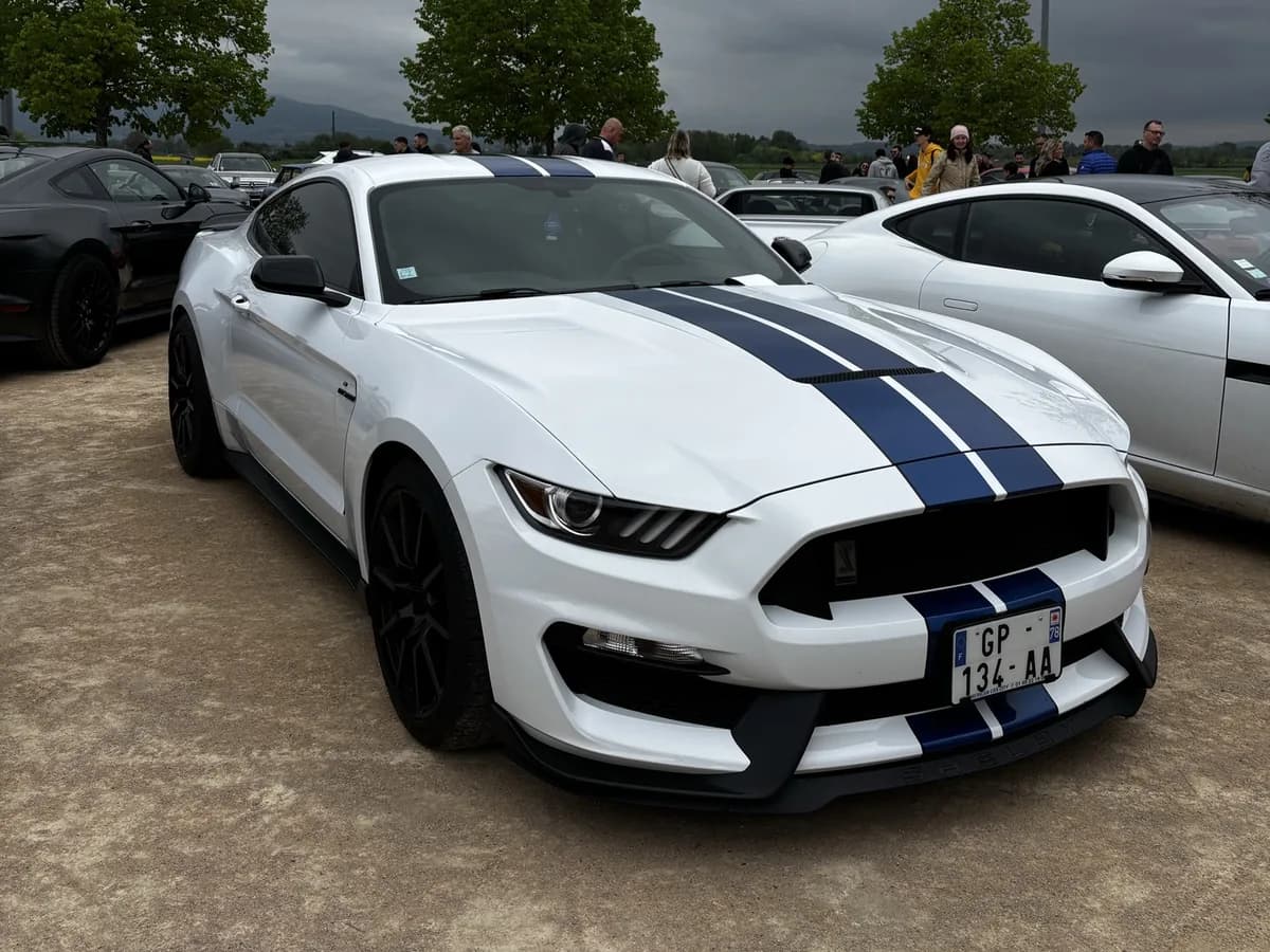 Mustang Shelby Coupé