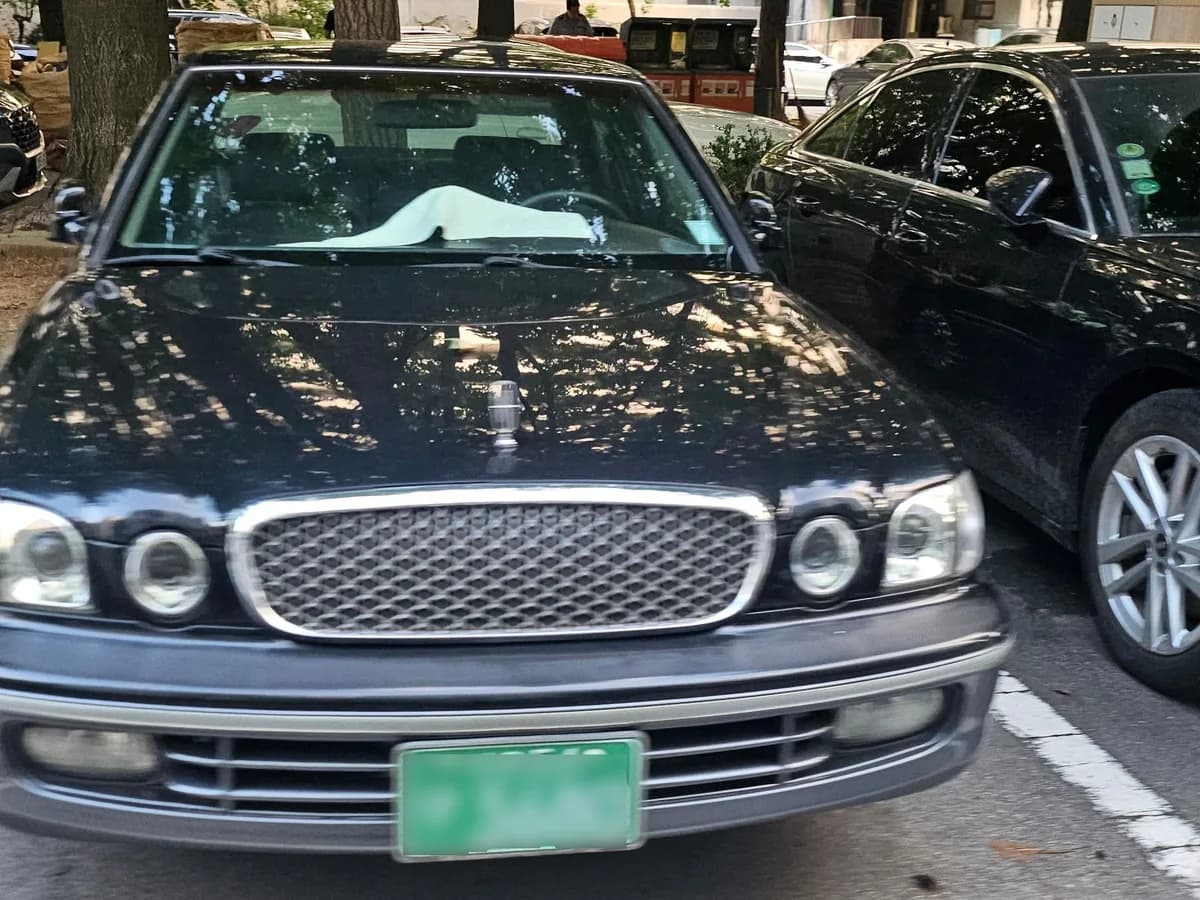 Hyundai Dynasty