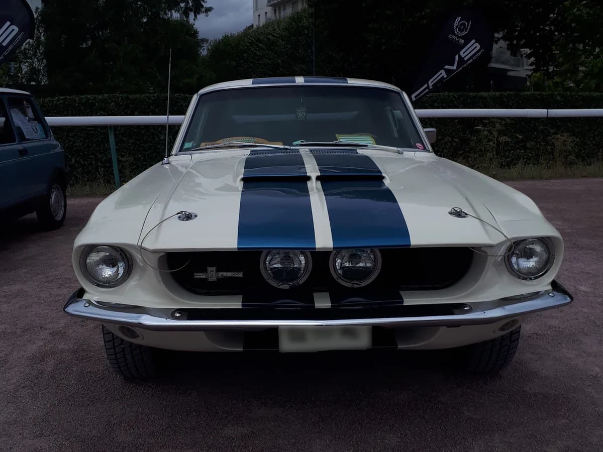 Ford Mustang Shelby Fastback 1964