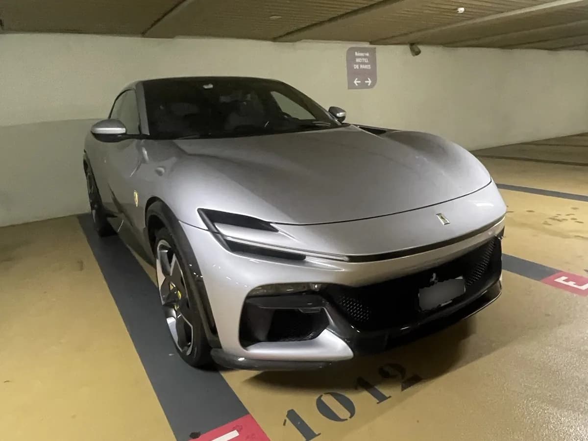 Purosangue Base