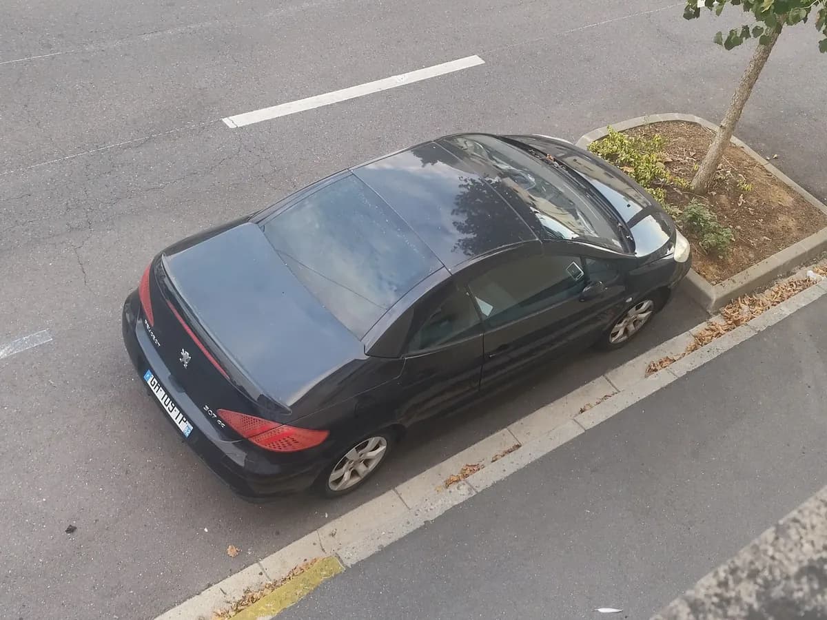 307 CC 2003