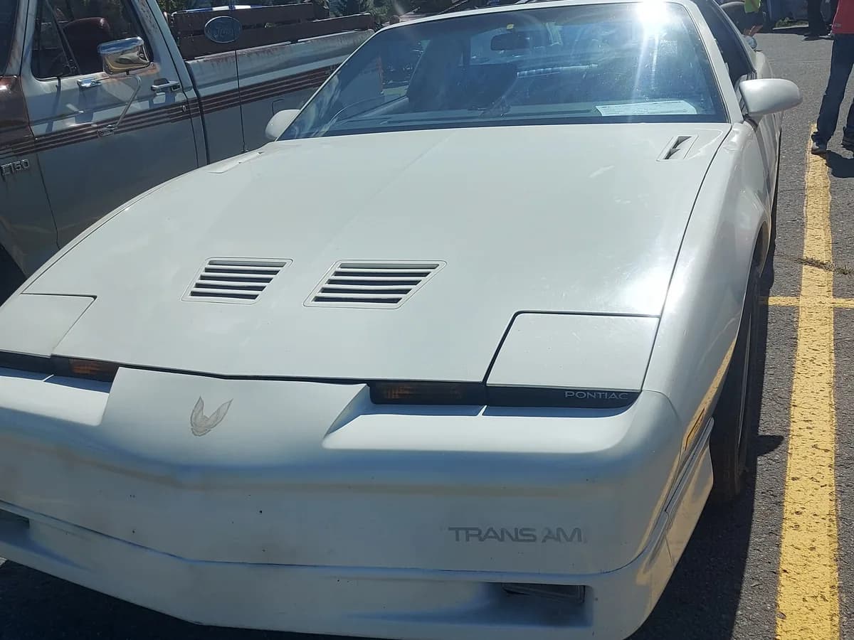 Firebird Targa 1981